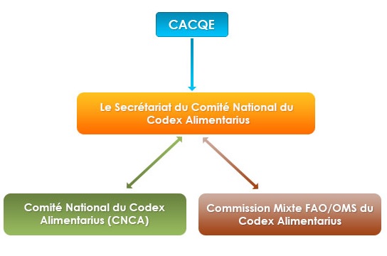 IMG-CACQE