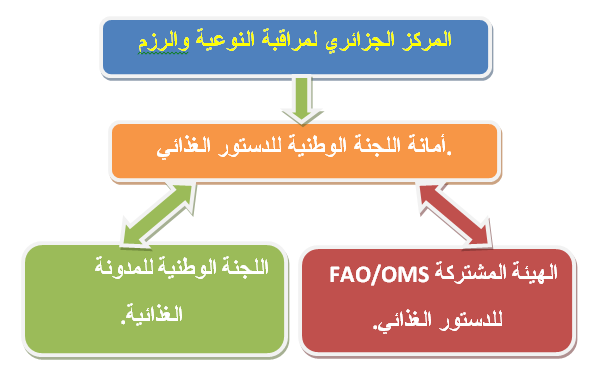 IMG-CACQE